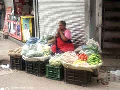 VELTRA OLD DELHI (Photo by Jasmeet)-10_
