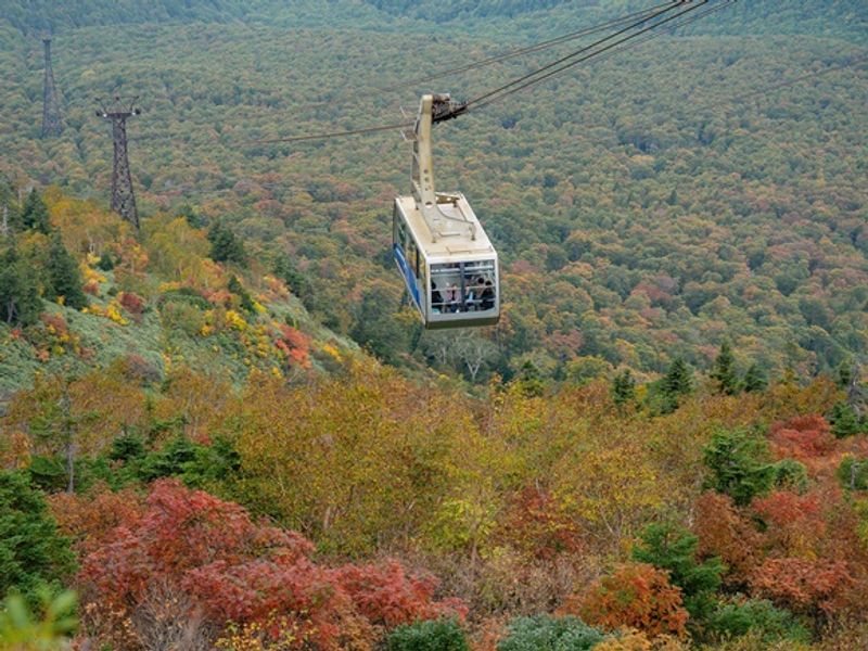 貸切観光タクシー 日本百名山に選ばれた5月からの新緑 9月下旬から10月までの紅葉 八甲田山 へ行く 5時間コース 1 9名 通年 八戸市内発青森市内お送り 青森の観光 遊び 体験 レジャー専門予約サイト Veltra ベルトラ