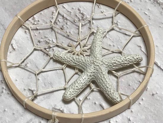 starfish1