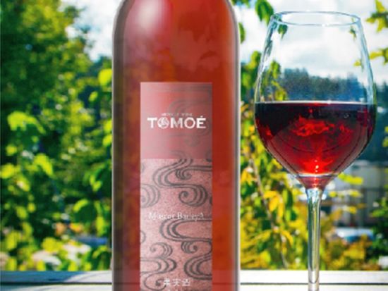 0509133410_5eb632c28b130