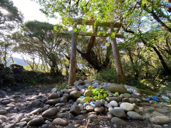 八丈富士 トレッキングツアー360度の絶景をトレッキング体験 自然に囲まれたリラックス旅へ＜午前／10～6月／送迎あり／八丈島＞