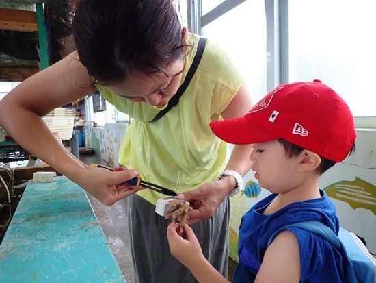 サンゴ苗作り＆養殖場見学「海の環境を楽しく学ぶ」沖縄自然体験型エコツアー　オプションでシュノーケル or ダイビング追加可＜グリーン・フィンズ認定店／恩納村＞