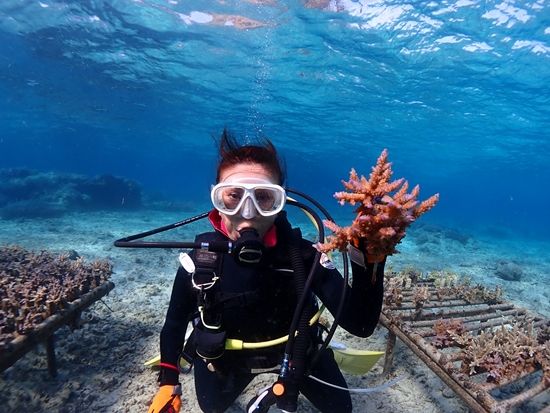 植付ダイビング02