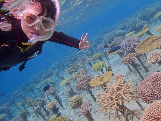 サンゴ畑シュノーケル06