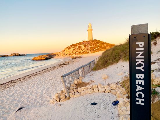 ロットネスト (3)のコピー