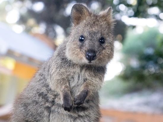 natalie-su-6ZDY7XhT8_0-unsplash