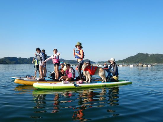 【愛犬連れOK】SUP (スタンドアップパドル) 体験　初心者でも安心！ウチノ海やスクノ海など鳴門海峡周辺で海上散歩＜2・3時間／鳴門市＞by Horizon