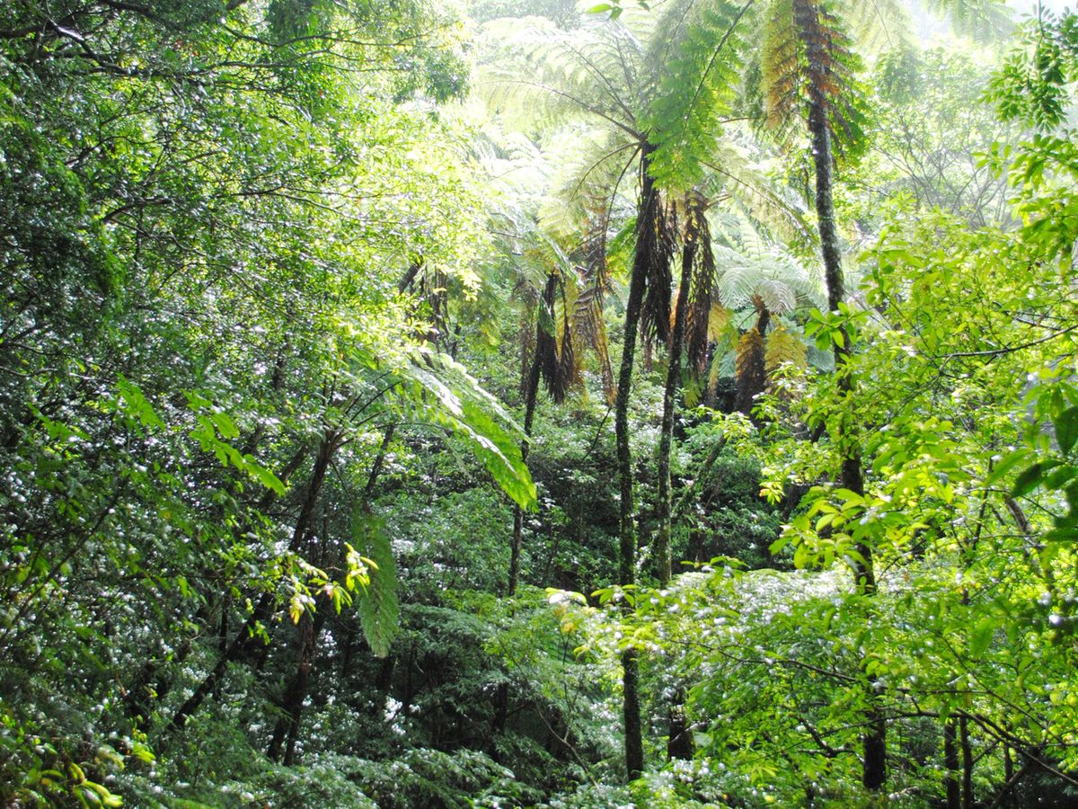 金作原トレッキングツアー フォトジェニックな大原海浜公園立ち寄り