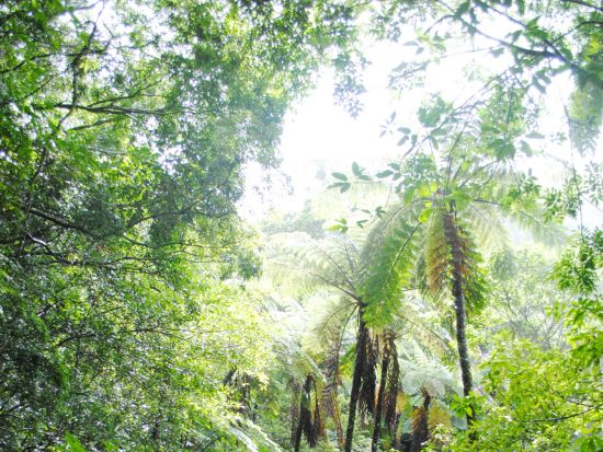 金作原トレッキングツアー フォトジェニックな大原海浜公園立ち寄り付き！＜名瀬市内送迎無料＞by マングローブ茶屋
