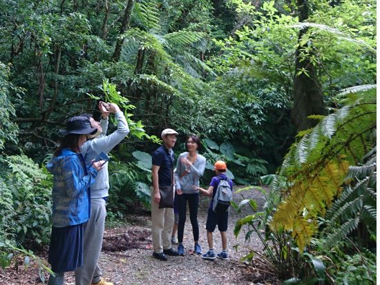 金作原トレッキングツアー フォトジェニックな大原海浜公園立ち寄り付き！＜名瀬市内送迎無料＞by マングローブ茶屋