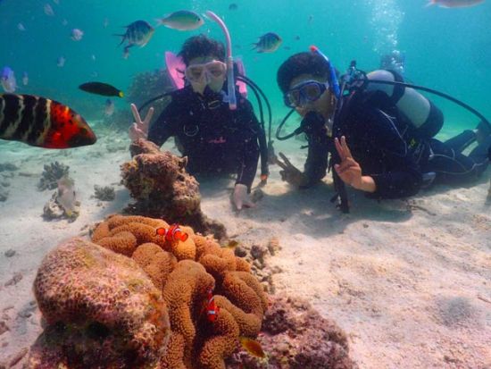 体験ダイビング　1グループのみの少人数制！ダイブスポットまでは船で約15分で移動時間も短縮＜11～4月／ボート／1ダイブ＞by やまんぐぅ～