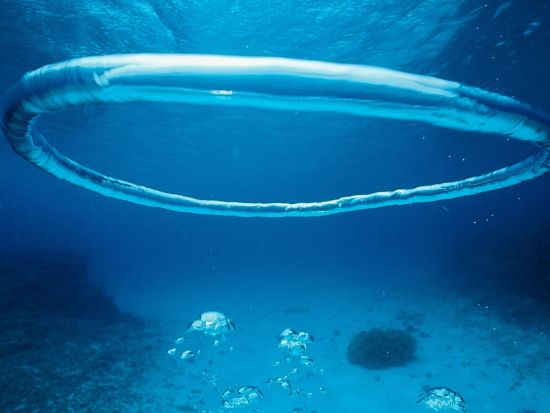 息をのむ透明さに感動！世界に誇る透明度 ヨロンブルー体験ダイビング！初めてでも安心＜写真＆動画プレゼント/手ぶらでOK/温水シャワー更衣室完備＞ 