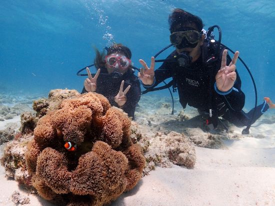 息をのむ透明さに感動！世界に誇る透明度 ヨロンブルー体験ダイビング！初めてでも安心＜写真＆動画プレゼント/手ぶらでOK/温水シャワー更衣室完備＞ 