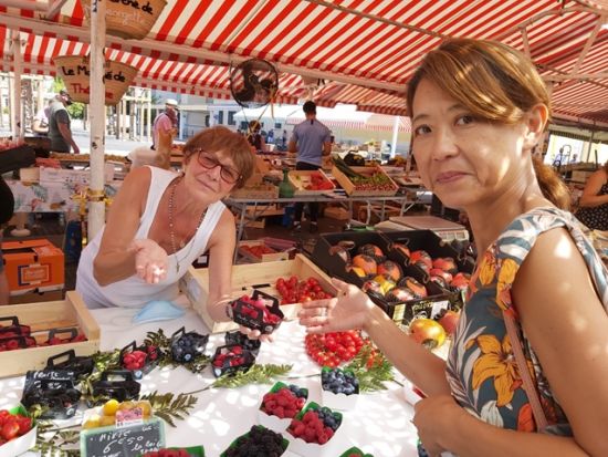 おすすめガイドがご案内！プロヴァンス地方1日観光ツアー ＜貸切／日本語ドライバーガイド／ニース発またはカンヌ発＞