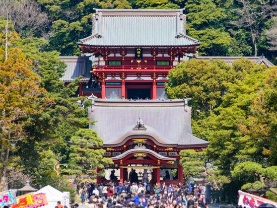 鎌倉観光タクシー　鶴岡八幡宮＋長谷寺＋小町通　古都鎌倉の名所を巡る＜1日／1～9名／横浜エリア送迎あり＞