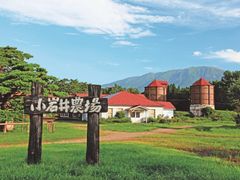 Kamimaru Cattle Barn in SUmmer