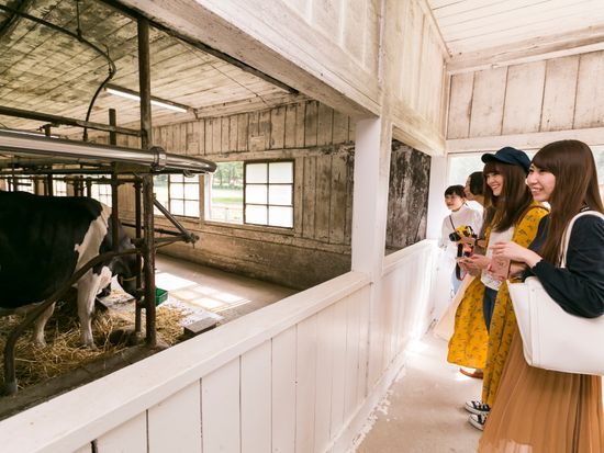 ホルスタインに会いに行こう