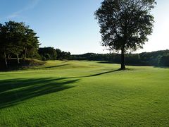 top_course_samnail_misago