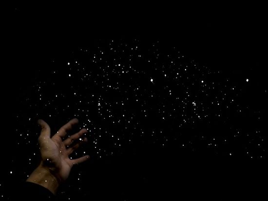 ヤコウチュウイメージ３