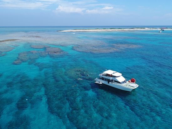 慶良間半日シュノーケリング  ウミガメ探索やマリンアクティビティ、体験ダイビングのセットプランあり＜那覇市内送迎無料／3時間＞