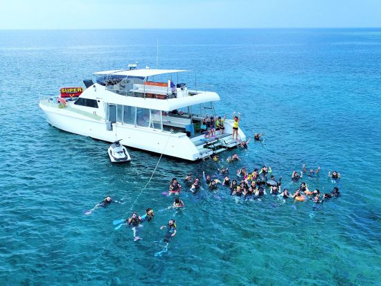 ＜現地集合限定！当日10:00まで予約OK＞慶良間シュノーケリング マリンアクティビティ付やウミガメ探索付プランあり ＜13:30発＞