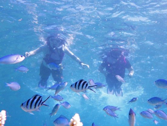 加計呂麻島（かけろまじま）日帰り散策＆シュノーケルツアー　奄美大島からフェリー移動！＜5～10月／奄美大島発＞ by スローガイド奄美