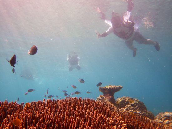 加計呂麻島（かけろまじま）日帰り散策＆シュノーケルツアー　奄美大島からフェリー移動！＜5～10月／奄美大島発＞ by スローガイド奄美
