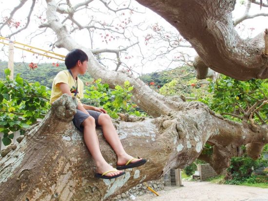 加計呂麻島（かけろまじま）日帰り散策＆シュノーケルツアー　奄美大島からフェリー移動！＜5～10月／奄美大島発＞ by スローガイド奄美