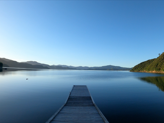 Snapshot 23-08-2020 19_18