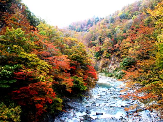 新潟の誇る秘境の絶景めぐり 日本三大峡谷 清津峡 日本の秘境100選 秋山郷 7月 10月 昼食付 混載バス 越後湯沢発着 新潟の観光 遊び 体験 レジャー専門予約サイト Veltra ベルトラ 新潟の誇る秘境の絶景めぐり 日本三大峡谷 清津峡 日本の秘境100選 秋山郷 7月 10月 昼食付 混載バス 越後湯沢発着 新潟の観光 遊び 体験 レジャー専門予約サイト Veltra ベルトラ