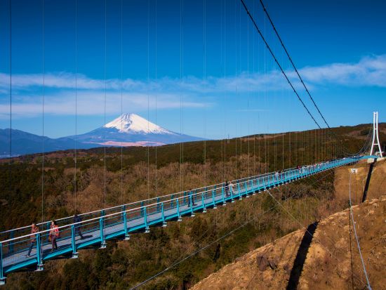 貸切観光タクシー　世界遺産 富士山を眺める十国峠＋山中城跡公園＋三島スカイウォーク＋三嶋大社＋柿田川湧水＜1日／1～9名／選べる出発時間／熱海市内送迎付＞ 