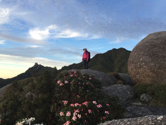 【貸切】宮之浦岳トレッキングツアー 九州最高峰！全長往復16kmの本格登山 レンタル装備セットプランあり　by 屋久島ガイドツアー