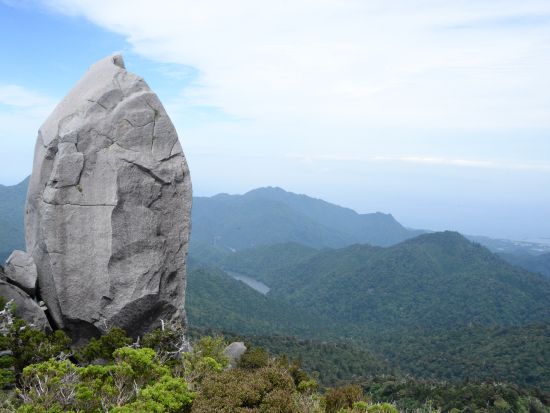 【貸切】太忠岳トレッキングツアー ヤクスギランドを通って太忠岳の山頂を目指す！ by 屋久島ガイドツアー