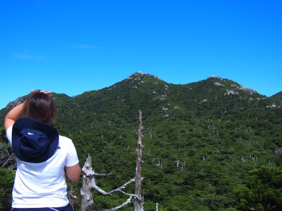 【貸切】黒味岳トレッキングツアー 山頂から見る360度のパノラマ絶景を堪能！レンタル装備5点セット付きプランあり　by 屋久島ガイドツアー
