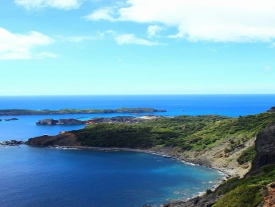 小笠原諸島 父島 1日トレッキングツアー 体力に合わせて植物 動物 地形をガイドが丁寧にご案内 父島 By 竹ネイチャーアカデミー 伊豆諸島 小笠原諸島の観光 遊び 体験 レジャー専門予約サイト Veltra ベルトラ