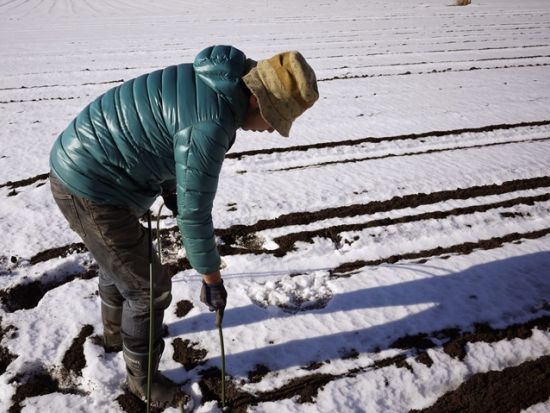 野菜農家1日体験　大人も子供も社会科見学！農業を学べる職業体験プログラム＜四街道市＞
