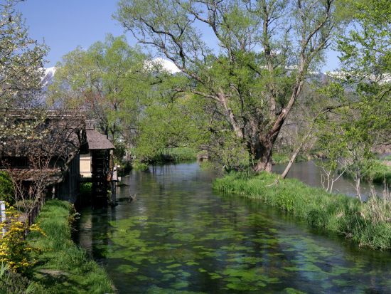 長野県 安曇野周遊日帰りツアー 安曇野ちひろ美術館＋穂高神社＋大王わさび農場など定番スポット巡り＜4～11月／毎日運行／安曇野市内発着＞