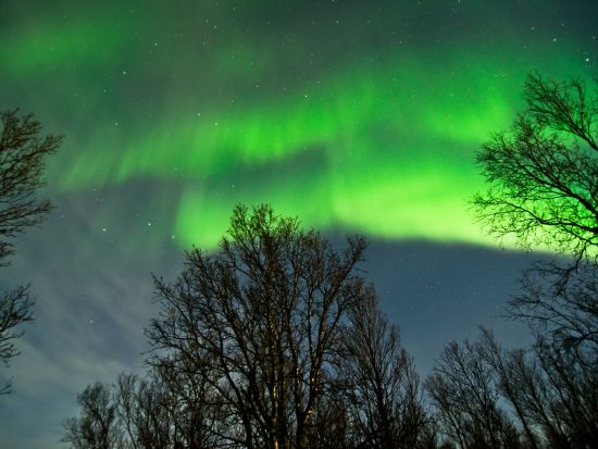 少人数制バスで行く！光のカーテン オーロラ鑑賞ツアー＜軽食＆ホットドリンク付／9～4月／トロムソ発＞