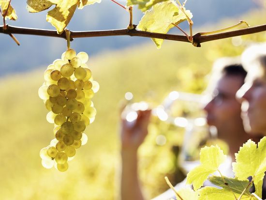 shutterstock_69763123