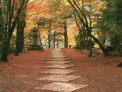 高山寺(差替)