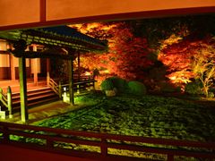 XB 隨心院②