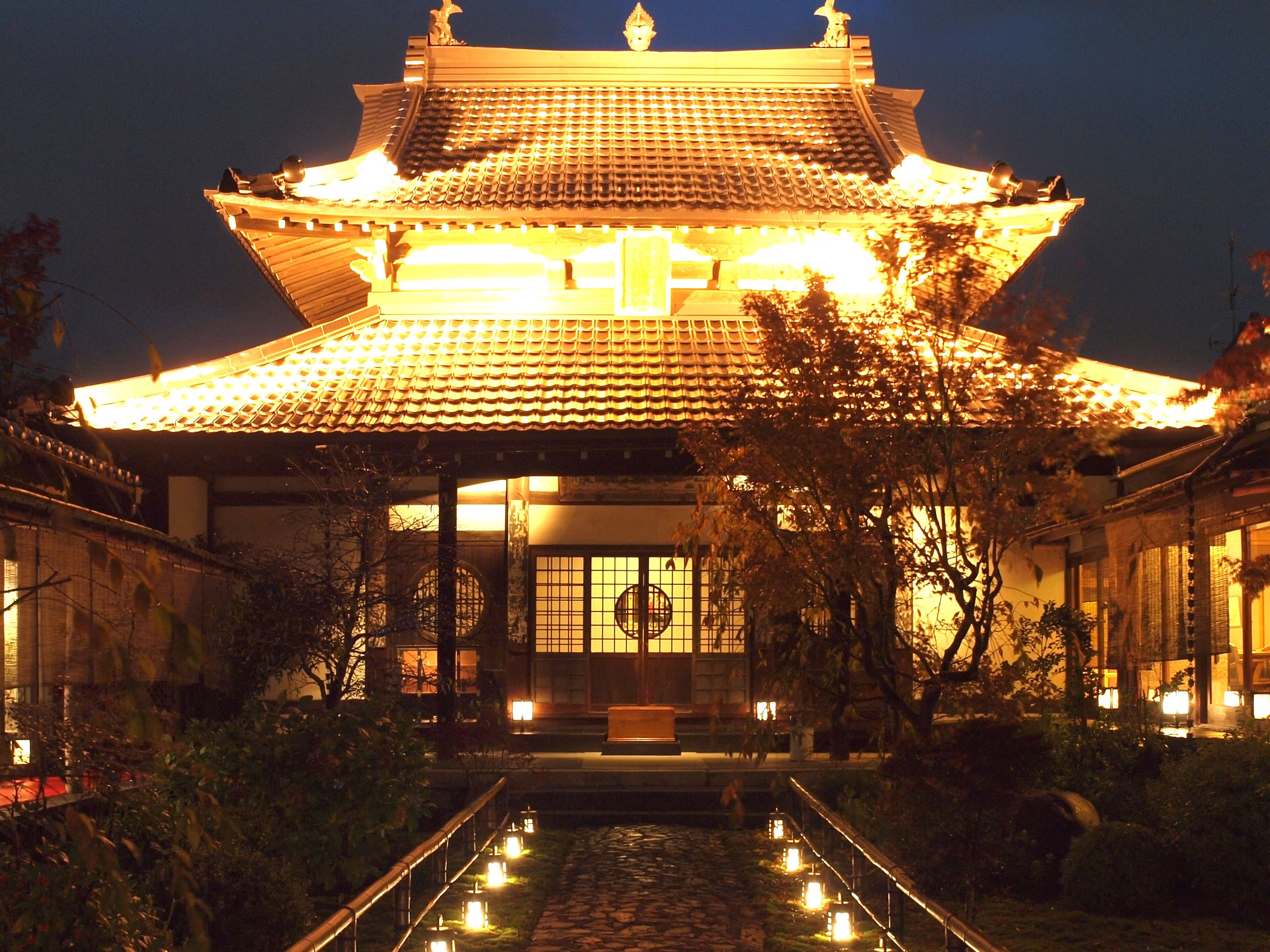 東寺夜間特別拝観券(二枚) ライトアップ - 美術館・博物館