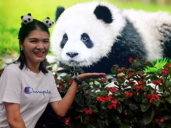 【成都2泊3日ツアー】成都＋雲海が広がる四大仏教名山”峨眉山”＋楽山大仏＋パンダ研究センター＜専用車＋専属日本語ガイド／食事付＞