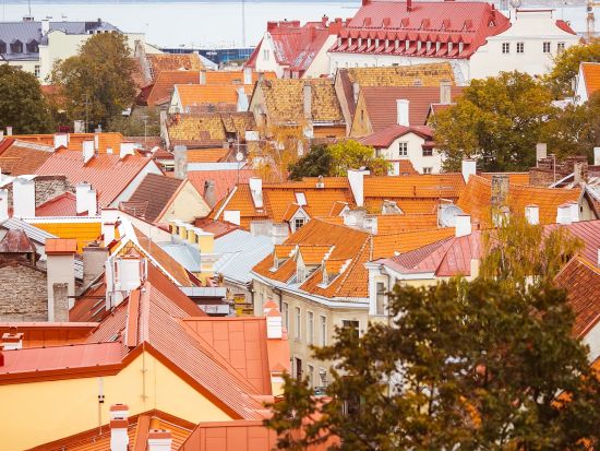 世界遺産タリン歴史地区 半日徒歩観光ツアー＜英語ガイド／2名～7名／貸切／3時間／タリン発＞