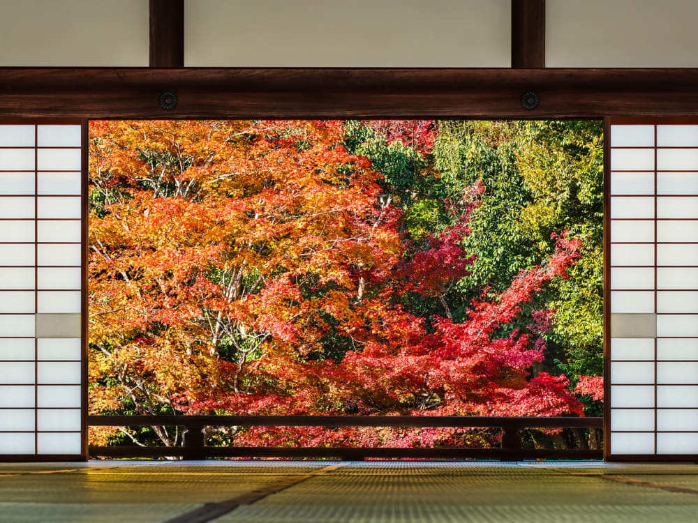 Japan_Kyoto_Tenryuji Temple_Autumn_Foliage_Garden_shutterstock_178762574