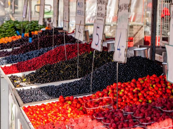 プライベートツアー 徒歩 or 専用車 ＜日本語ガイド／4時間／延長可／ヘルシンキ発＞*1〜6名グループ料金