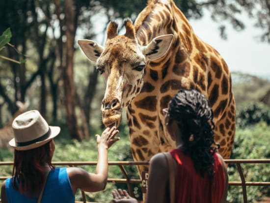Africa_Kenya_Nairobi_Giraffe_shutterstock_411478390