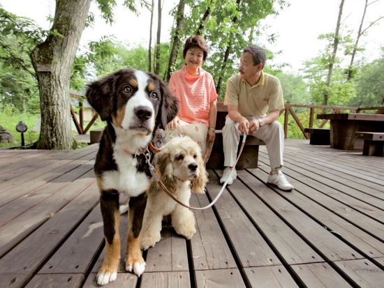【ペット参加OK！】フェザント山中湖1泊2日宿泊体験 山中湖畔の富士の麓、BESSのタイムシェア別荘で愛犬と過ごす贅沢な時間　全棟薪ストーブ付＜3泊まで延泊可＞