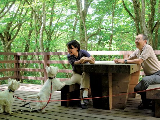 【ペット参加OK！】フェザント山中湖1泊2日宿泊体験 山中湖畔の富士の麓、BESSのタイムシェア別荘で愛犬と過ごす贅沢な時間　全棟薪ストーブ付＜3泊まで延泊可＞