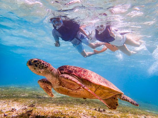 A70928DA-E851-42AF-BF8E-E4E1C124B1BB